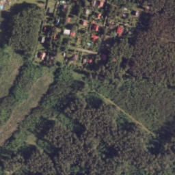Satelita