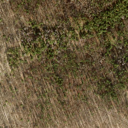 Satellite imagery of Fernmeldeturm Berlin-Schäferberg, DE