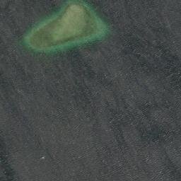 Satelita