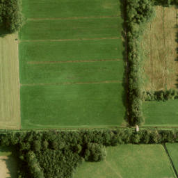 Satellite imagery of Nijenhuis, NL