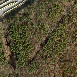 Satellite imagery of Jagdschloß Dreilinden, DE