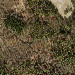 Satellite imagery of Jagdschloß Dreilinden, DE