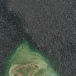 Satelita