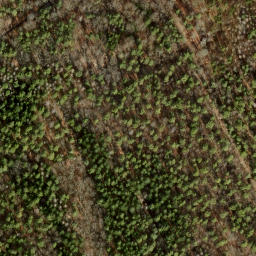 Satellite imagery of Jagdschloß Dreilinden, DE