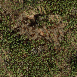 Satellite imagery of Jagdschloß Dreilinden, DE