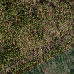 Satellite imagery of Jagdschloß Dreilinden, DE