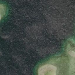 Satelita