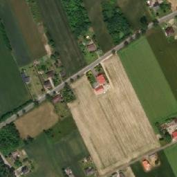 Satelita