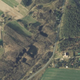 Satelita