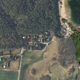 Satelita