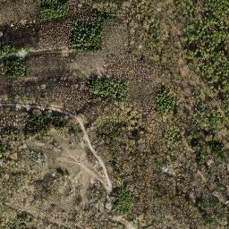 Satellite imagery of Tannenberg, DE