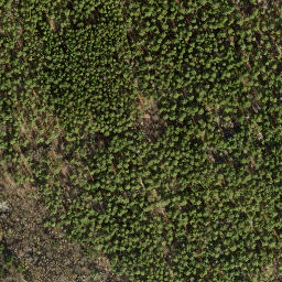 Satellite imagery of Tannenberg, DE
