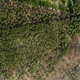 Satellite imagery of Tannenberg, DE