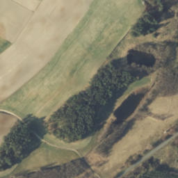Satelita