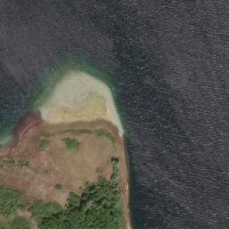 Satelita