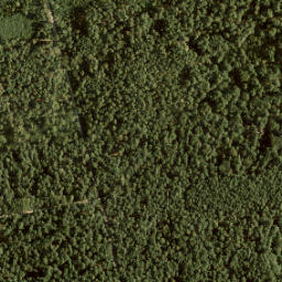 Satellite imagery of survey_point, NL