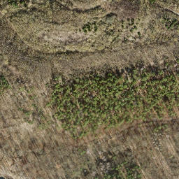 Satellite imagery of Tannenberg, DE