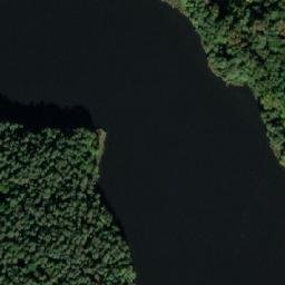 Satelita