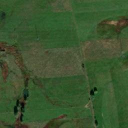Satelita