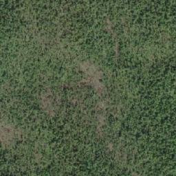 Satellite imagery of Symonds Point, CA