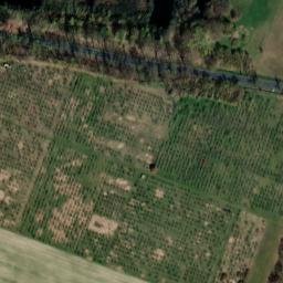 Satellite imagery of Gottesberg, DE