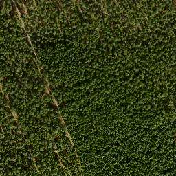 Satellite imagery of Seddinberg, DE