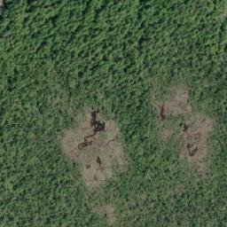 Satellite imagery of Keith Point, CA