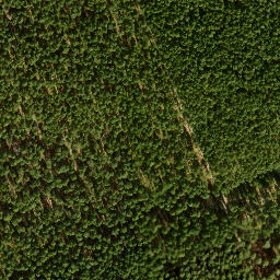 Satellite imagery of Seddinberg, DE