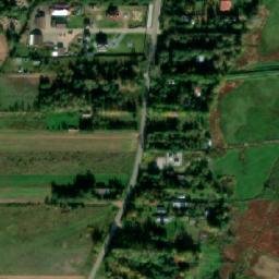 Satelita