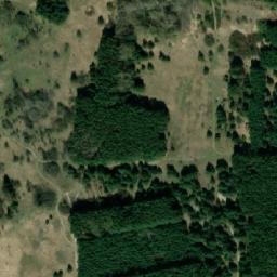 Satelita