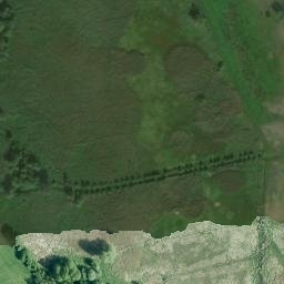 Satellite imagery of Burgwall, DE