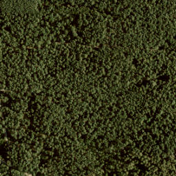 Satellite imagery of survey_point, NL