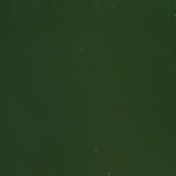 Satelita