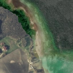 Satelita
