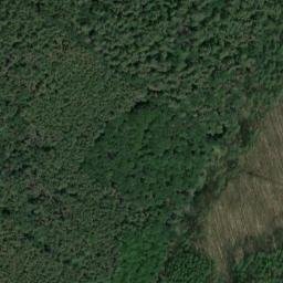 Satellite imagery of 38, DE