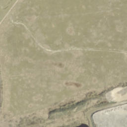 Satelita