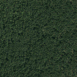 Satellite imagery of survey_point, PL