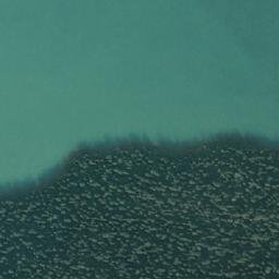 Satellite imagery of Fortress Pass, CA