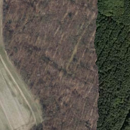 Satellite imagery of Steinberg, DE