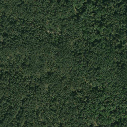 Satellite imagery of survey_point, PL
