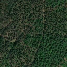 Satellite imagery of Düppelberg, DE