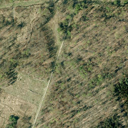 Satellite imagery of Schaumburger Wald, DE