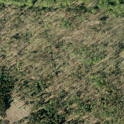 Satellite imagery of Schaumburger Wald, DE