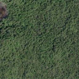 Satellite imagery of Salal Point, CA