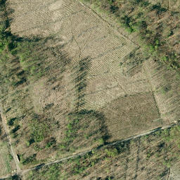 Satellite imagery of Schaumburger Wald, DE