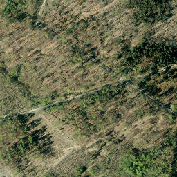Satellite imagery of Schaumburger Wald, DE