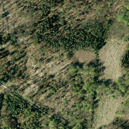 Satellite imagery of Schaumburger Wald, DE