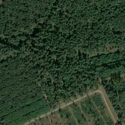 Satellite imagery of Mittelberg, DE