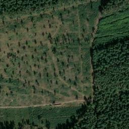 Satellite imagery of Mittelberg, DE