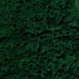 Satellite imagery of Burgate, GB